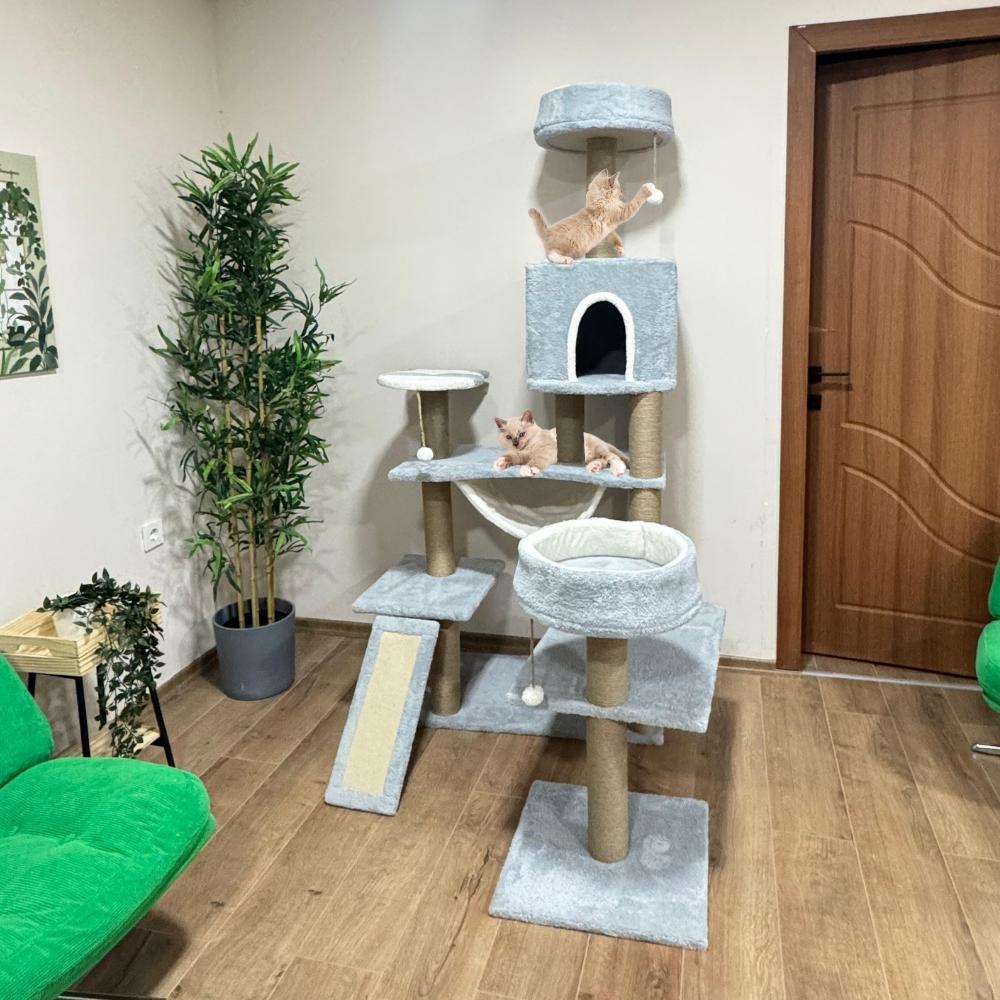 Nursoft Hamaklı Minder ve Balık Stepli Kedi Tırmalam Evi NRS-005