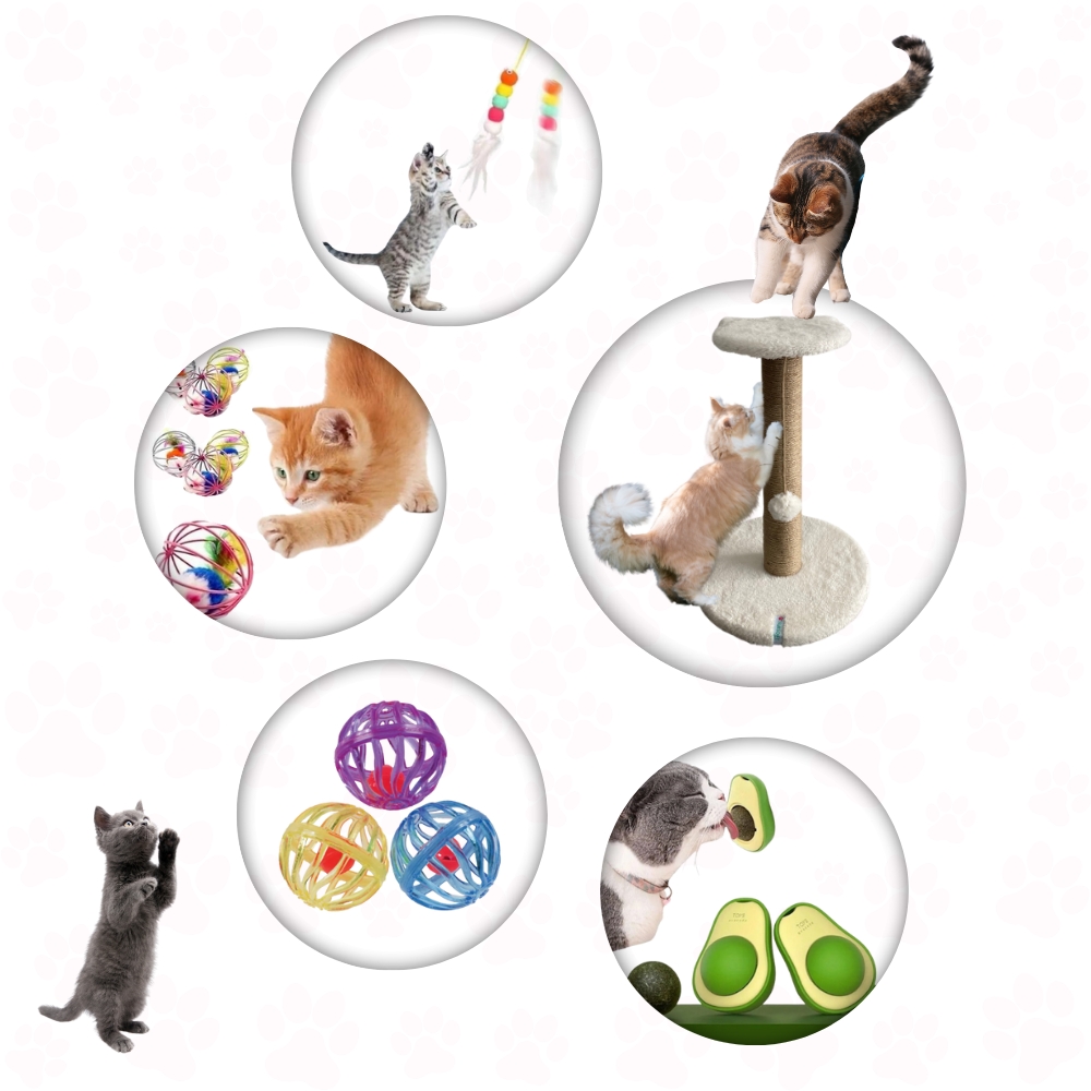 Büyük Boy Kedi Oyun Seti: Tırmalama Direği Metal Kafesli Top Avokado Kedi Nanesi Top Oyun Topu Olta