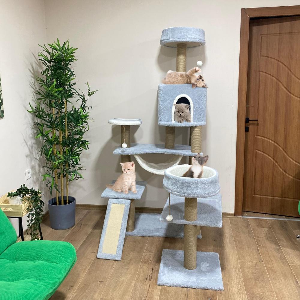 Nursoft Hamaklı Minder ve Balık Stepli Kedi Tırmalam Evi NRS-005