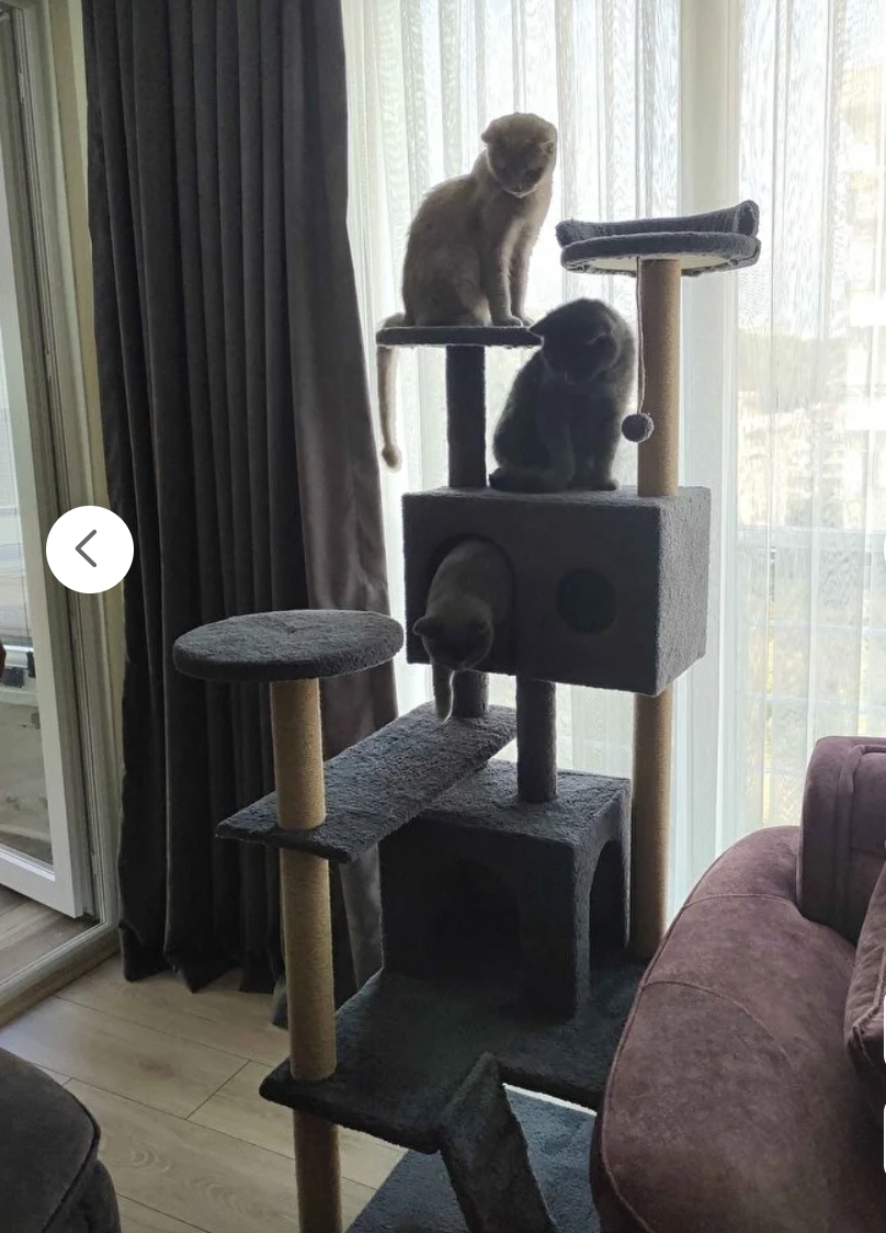 Nursoft Kule Kedi Evi Tırmalama