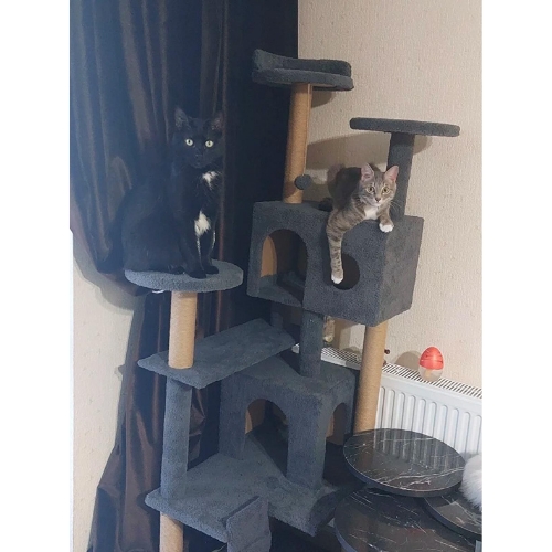 Nursoft Kule Kedi Evi Tırmalama