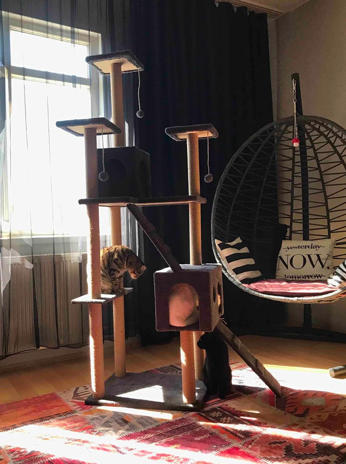 Nursoft Residence Kedi Tırmalama Evi