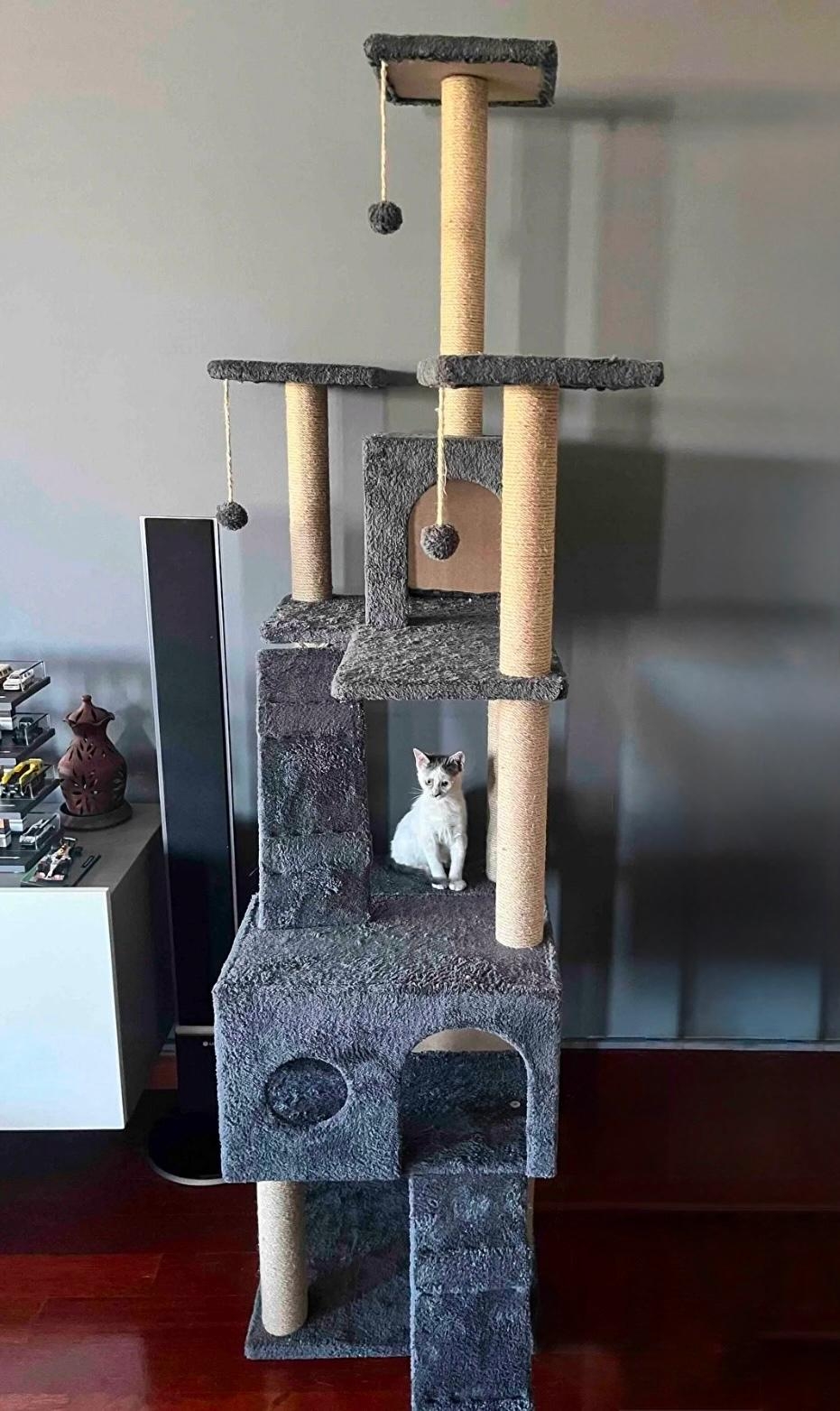Nursoft Residence Kedi Tırmalama Evi