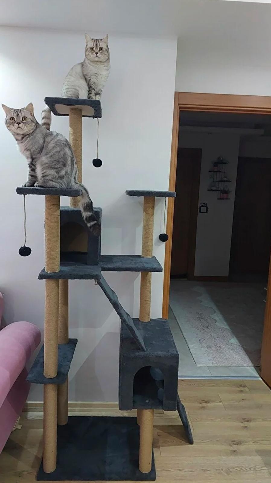 Nursoft Residence Kedi Tırmalama Evi