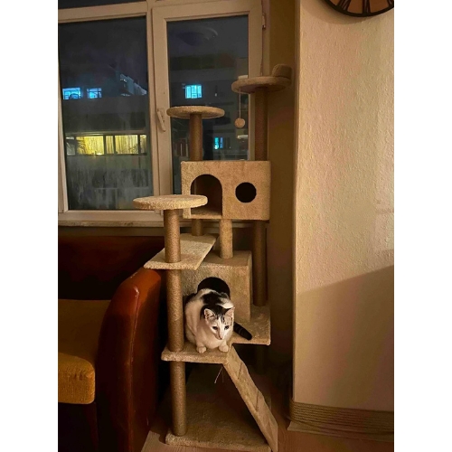 Nursoft Kule Kedi Evi Tırmalama 