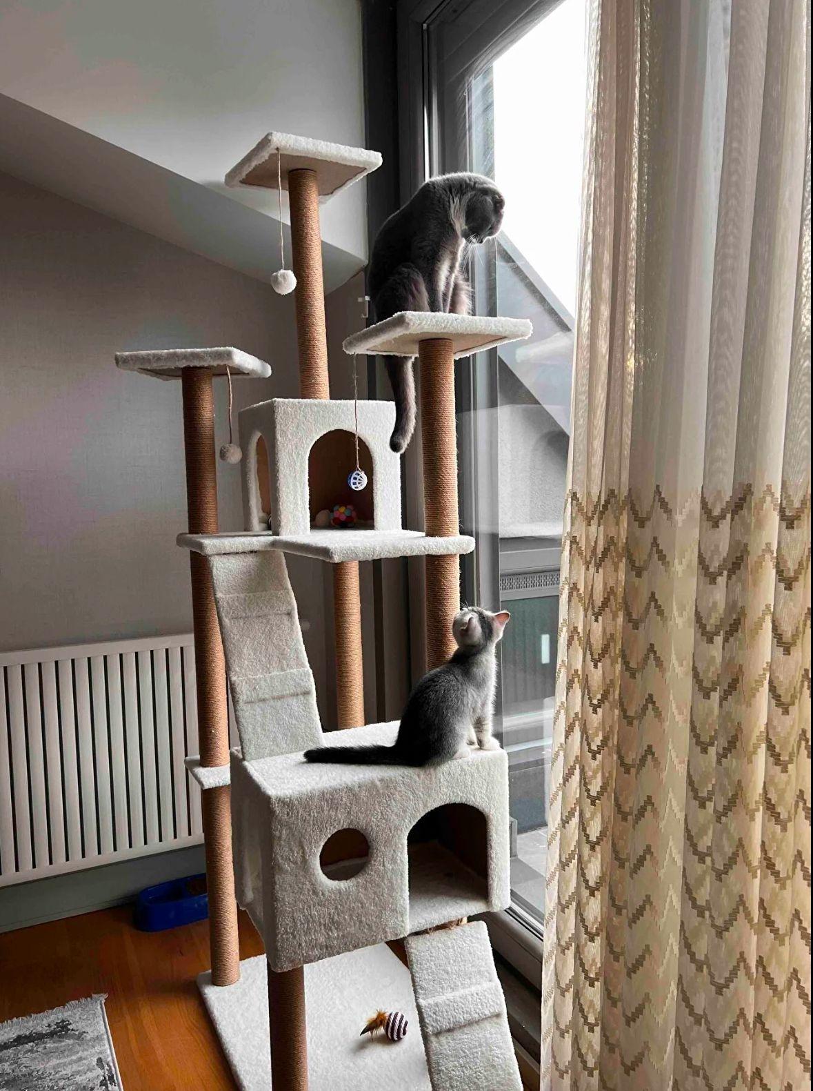 Nursoft Residence Kedi Tırmalama Evi NR-0035