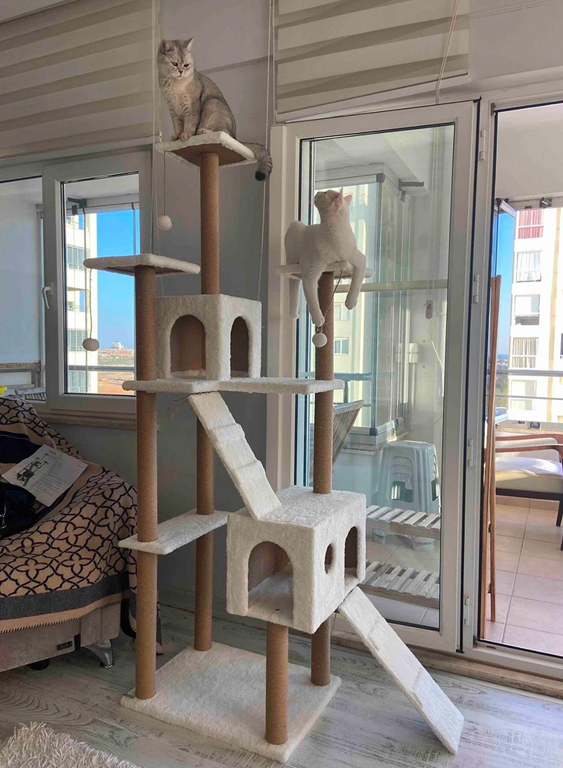 Nursoft Residence Kedi Tırmalama Evi