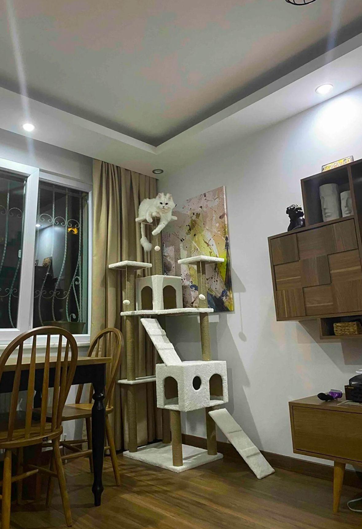 Nursoft Residence Kedi Tırmalama Evi