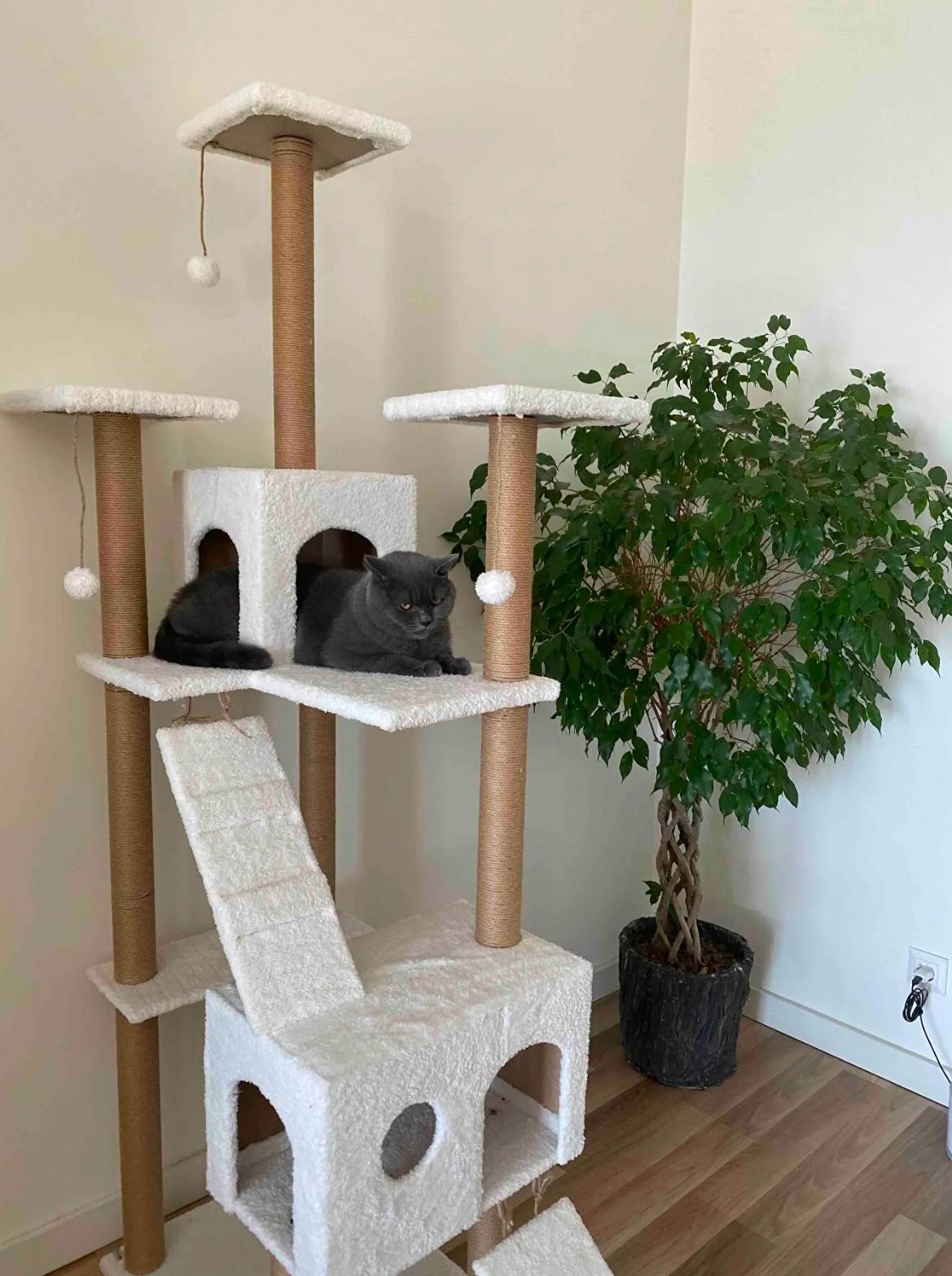 Nursoft Residence Kedi Tırmalama Evi