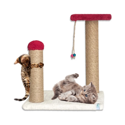 Nursoft Yavru Kedi Tırmalama ve Step Oyun Alanı
