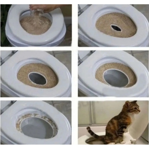 Nursoft Citi Kitty Kedi Tuvalet Eğitim Seti
