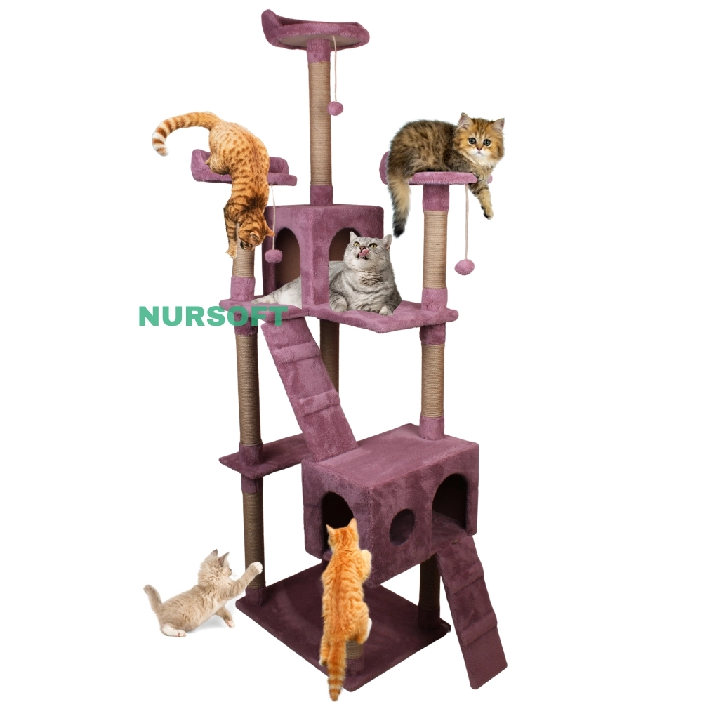 Cat City Kedi Evi Kedi Tırmalama Ve Kedi Oyun Evi