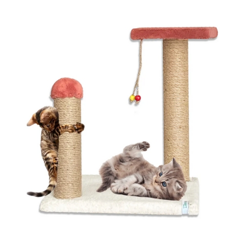 Nursoft Yavru Kedi Tırmalama ve Step Oyun Alanı