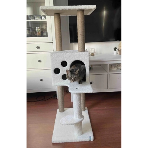 Nursoft Kedi Tırmalama Evi / Kedi Oyun Evi