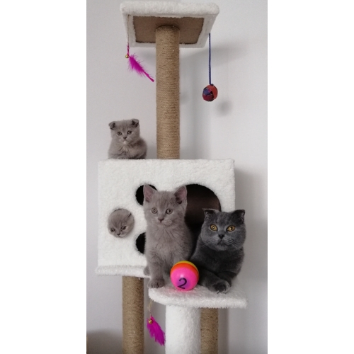 Nursoft Kedi Tırmalama Evi / Kedi Oyun Evi