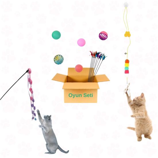 Kedi Oyun Topu ve Olta Seti