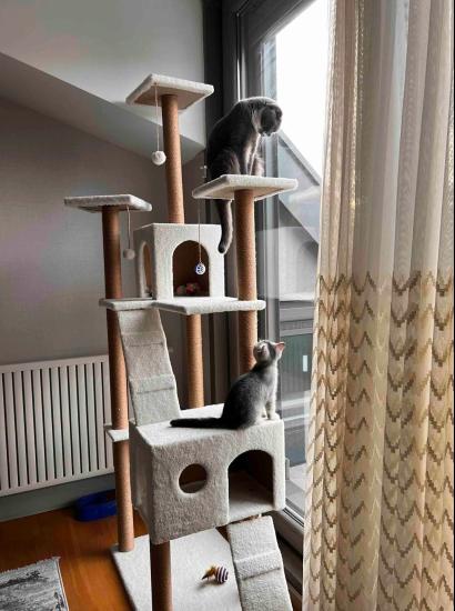 Nursoft Residence Kedi Tırmalama Evi NR-0035