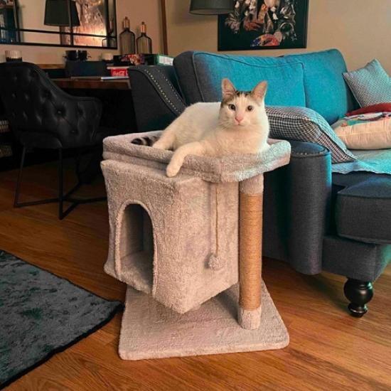 Nursoft Teraslı Kedi Tırmalama Evi  NRS-007