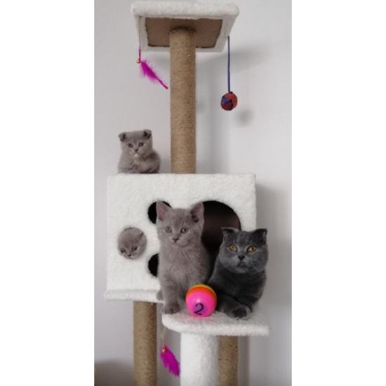 Nursoft Kedi Tırmalama Evi / Kedi Oyun Evi