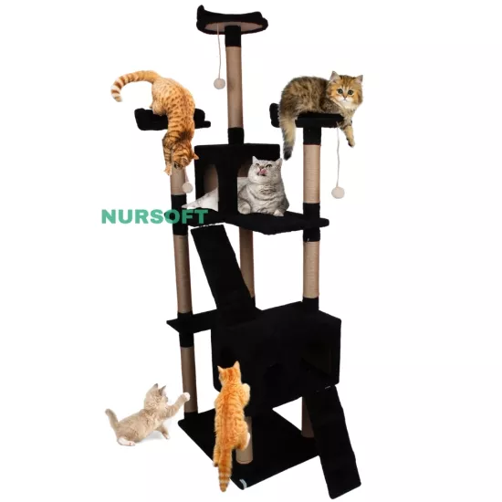 Cat City Kedi Evi Kedi Tırmalama Ve Kedi Oyun Evi