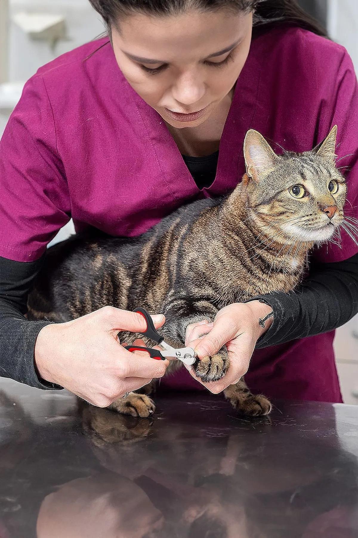 Nursoft Kedi Köpek Tırnak Makası