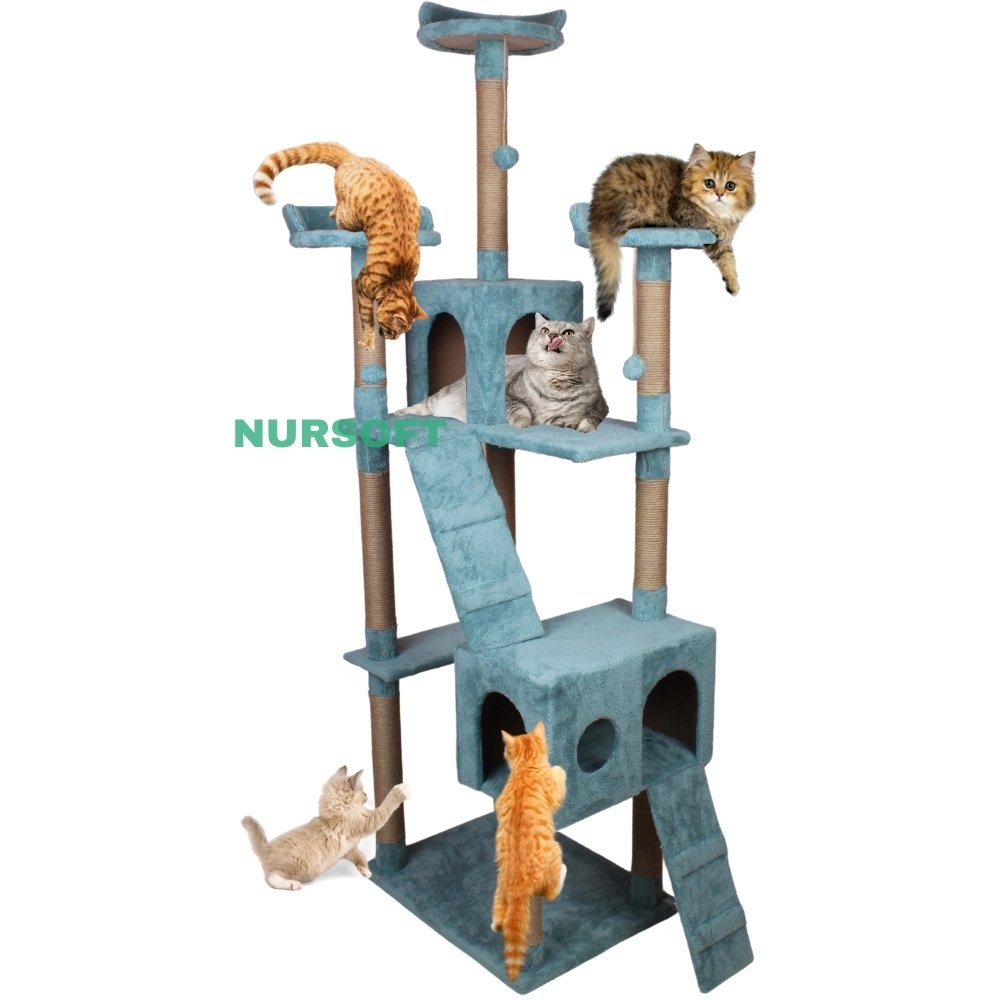 Cat City Kedi Evi Kedi Tırmalama Ve Kedi Oyun Evi