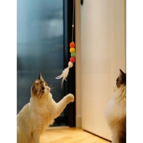 Nursoft Elastik Kendinden Yapışkanlı Kedi Oyun Oltası