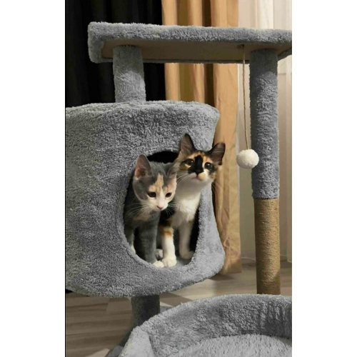 Nursoft Yuvarlak Teras ve Yuvalı Kedi Tırmalama NRS-013